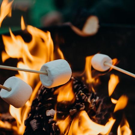 Fen Meadows Glamping - Luxury Cabins And Bell Tents Cambridge  Exteriér fotografie