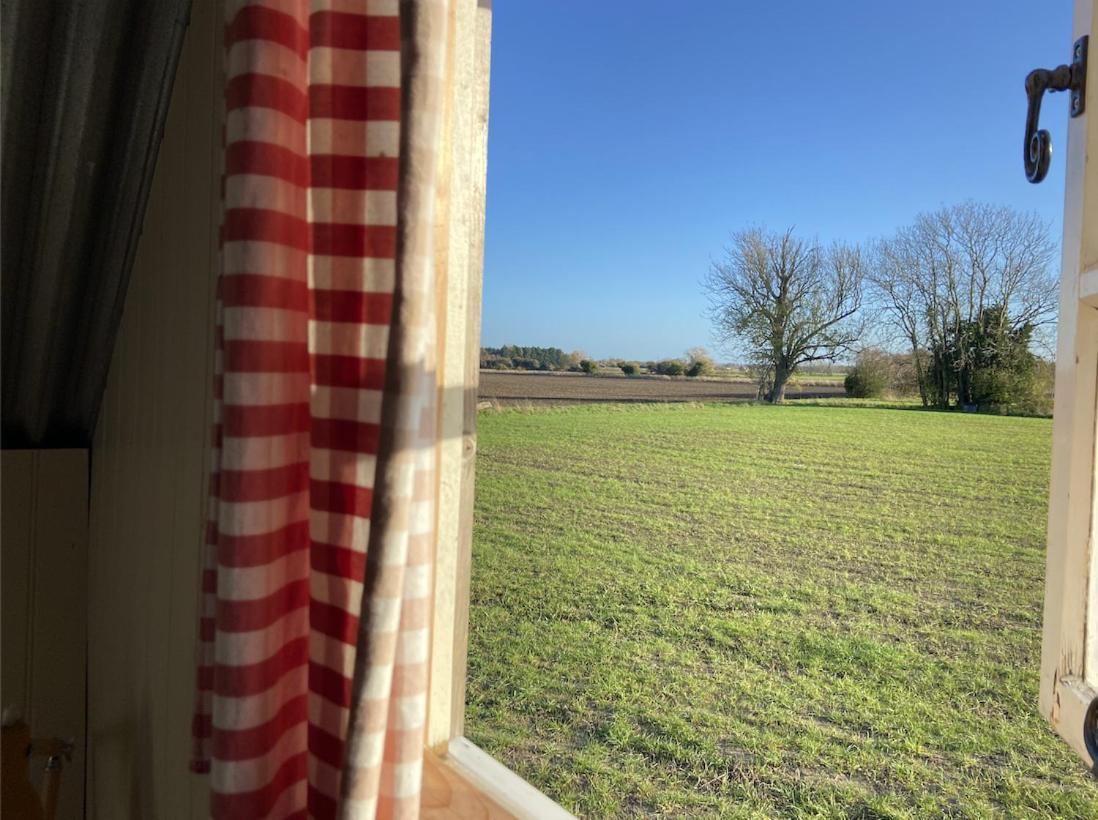 Fen Meadows Glamping - Luxury Cabins And Bell Tents Cambridge  Exteriér fotografie